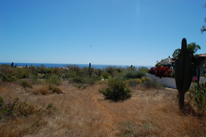 Cabo del Sol listings